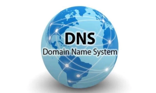 DNS Training